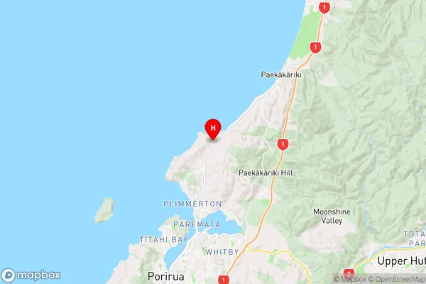 Pukerua Bay,Wellington Region Map