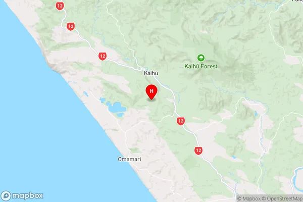 Puketi,Northland Region Map