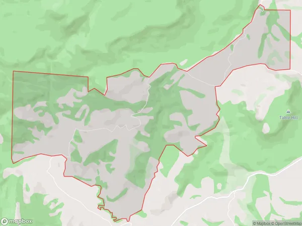 Puketiro, Otago Polygon Area Map