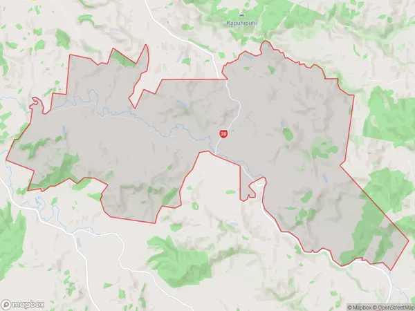 Puketutu, Waikato Polygon Area Map