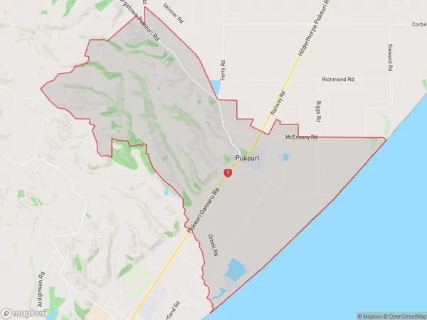 Pukeuri, Otago Polygon Area Map