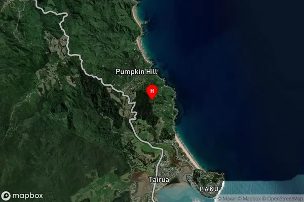 Pumpkin Hill,Waikato Satellite Map