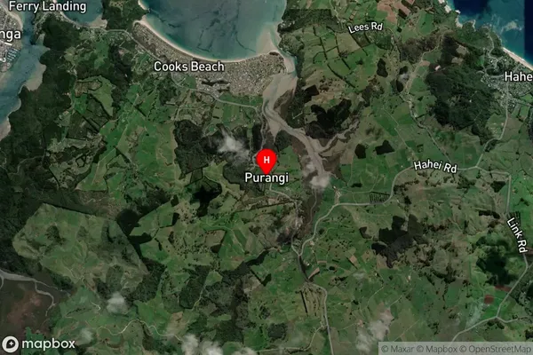 Purangi,Waikato Satellite Map