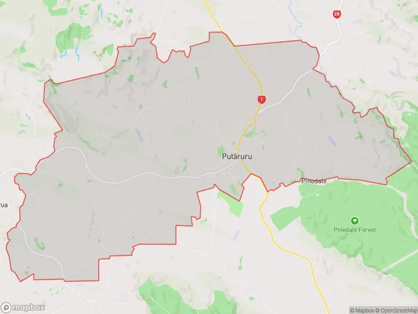 Putaruru, Waikato Polygon Area Map