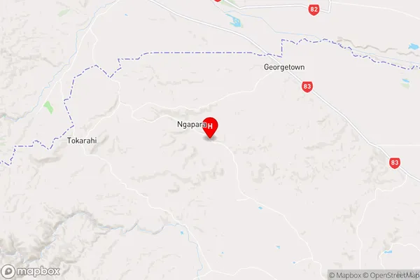 Queens Flat,Otago Region Map