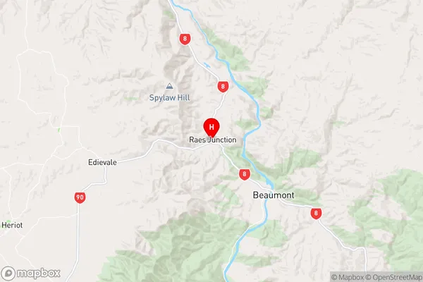 Raes Junction,Otago Region Map