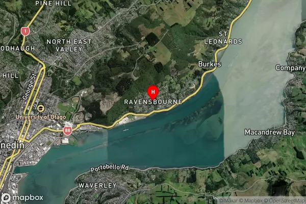 Ravensbourne,Otago Satellite Map