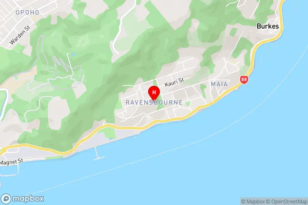 Ravensbourne,Otago Area Map