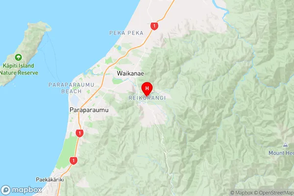 Reikorangi,Wellington Region Map