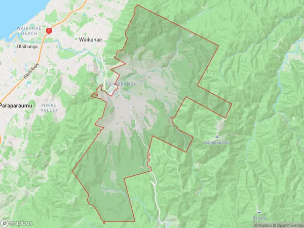 Reikorangi, Wellington Polygon Area Map