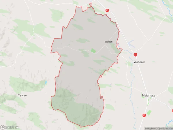 Richmond Downs, Waikato Polygon Area Map