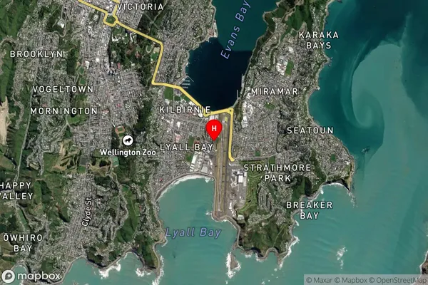 Rongotai,Wellington Satellite Map