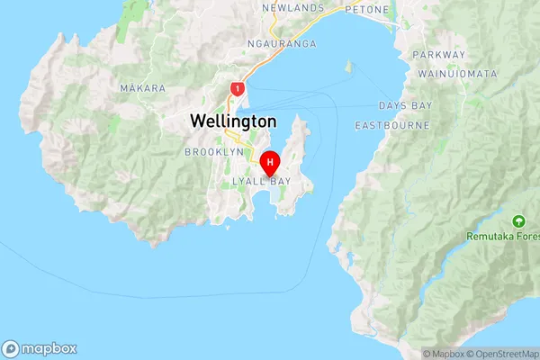 Rongotai,Wellington Region Map