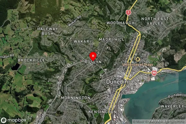 Roslyn,Otago Satellite Map