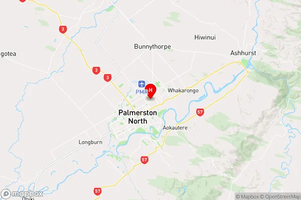 Roslyn,Manawatu-Wanganui Region Map