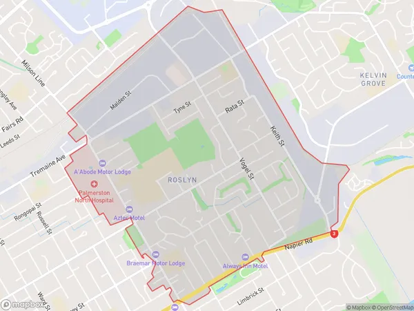 Roslyn, Manawatu-Wanganui Polygon Area Map