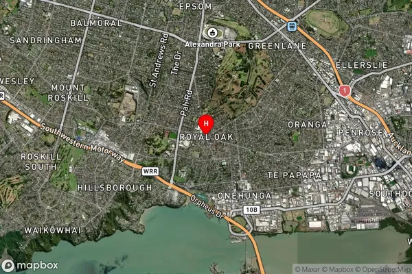 Royal Oak,Auckland Satellite Map