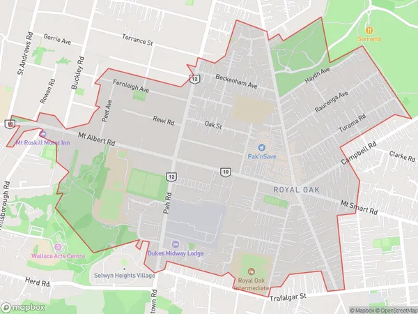 Royal Oak, Auckland Polygon Area Map