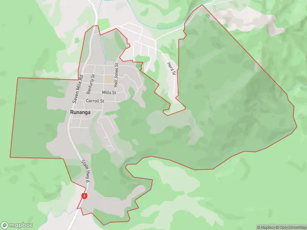 Runanga, West Coast Polygon Area Map