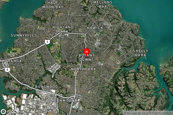 Botany Downs,Auckland Satellite Map