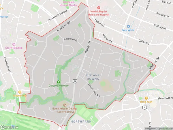 Botany Downs, Auckland Polygon Area Map