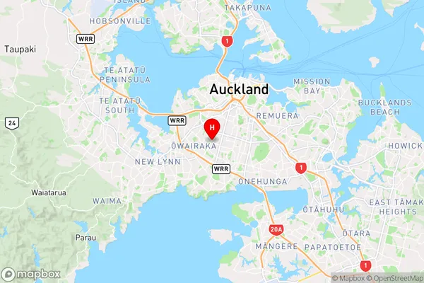 Sandringham,Auckland Region Map