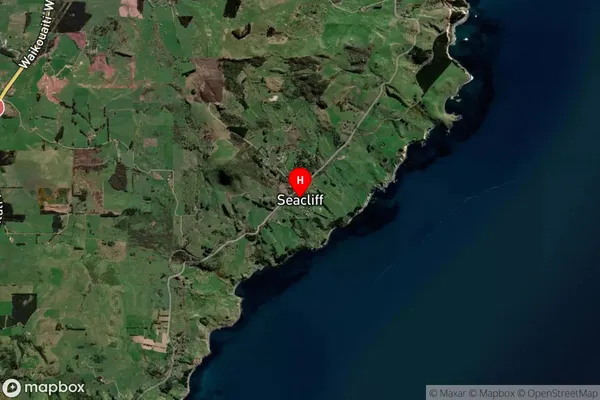 Seacliff,Otago Satellite Map