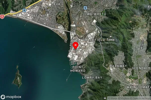 Seaview,Wellington Satellite Map