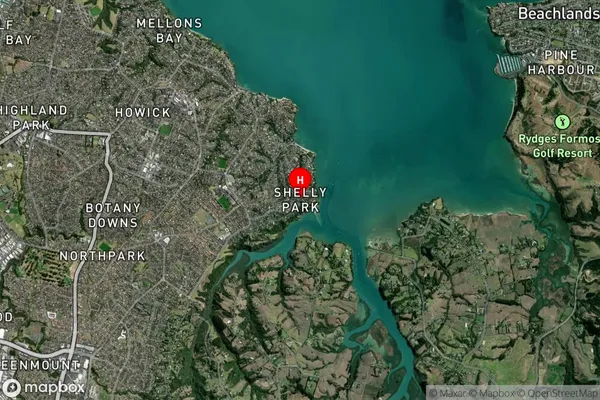 Shelly Park,Auckland Satellite Map