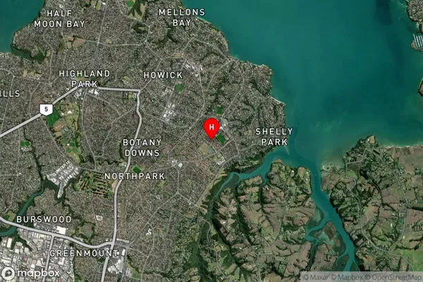 Somerville,Auckland Satellite Map