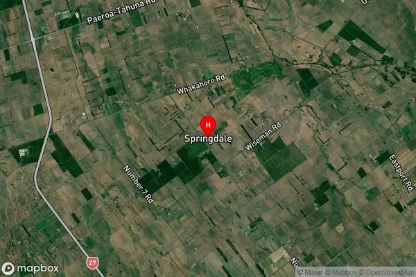 Springdale,Waikato Satellite Map