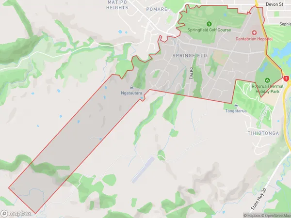 Springfield, Bay of Plenty Polygon Area Map