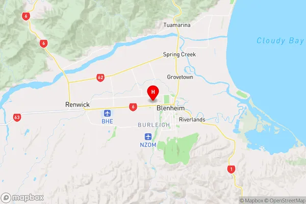 Springlands,Marlborough Region Map