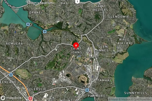 Saint Johns,Auckland Satellite Map