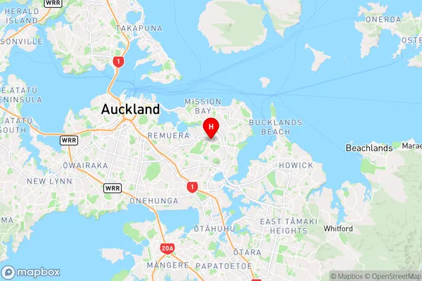 Saint Johns,Auckland Region Map