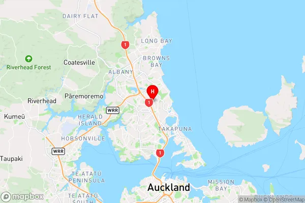 Sunnynook,Auckland Region Map