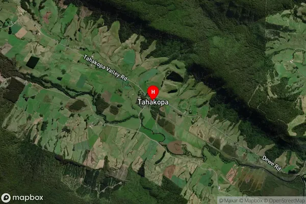 Tahakopa,Otago Satellite Map