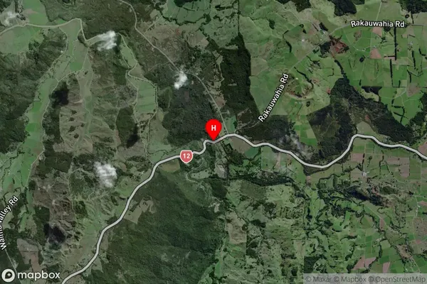 Taheke,Northland Satellite Map