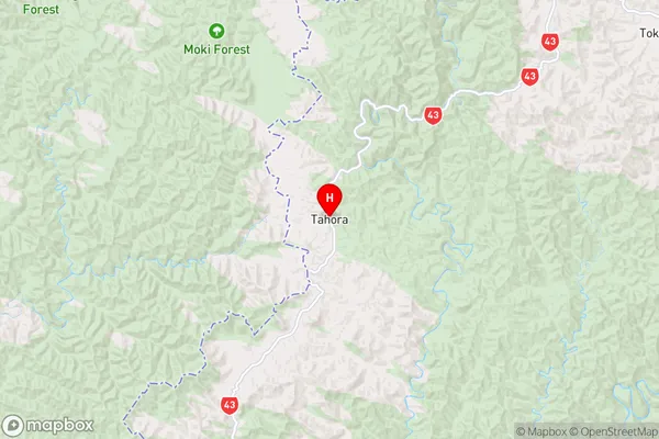 Tahora,Manawatu-Wanganui Region Map