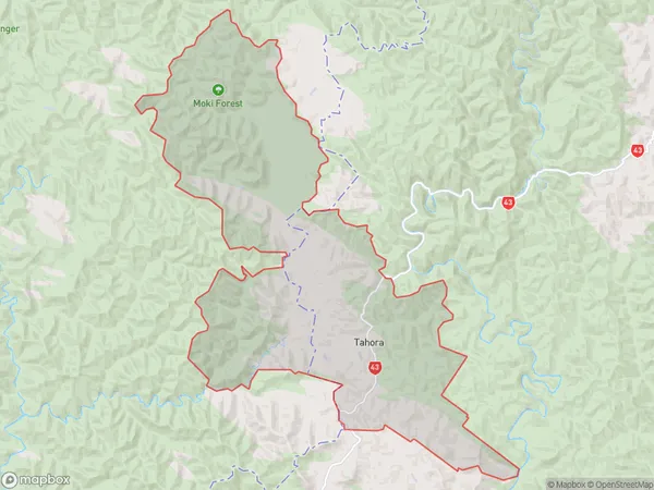 Tahora, Manawatu-Wanganui Polygon Area Map