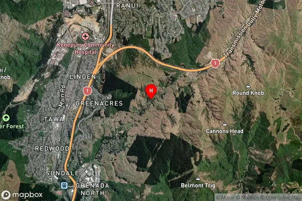 Takapu Valley,Wellington Satellite Map