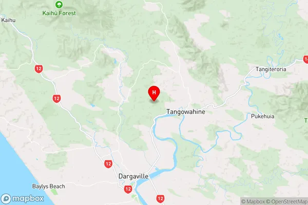 Tangowahine,Northland Region Map