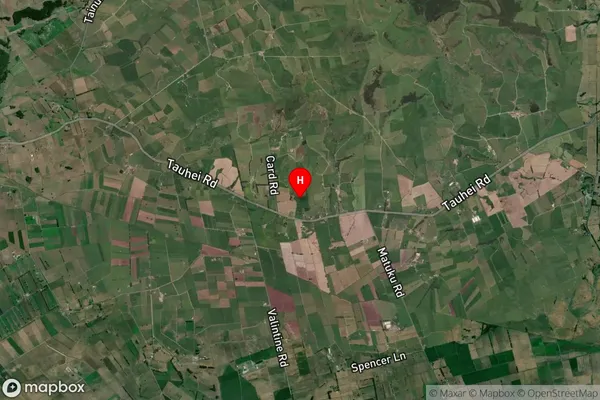 Tauhei,Waikato Satellite Map