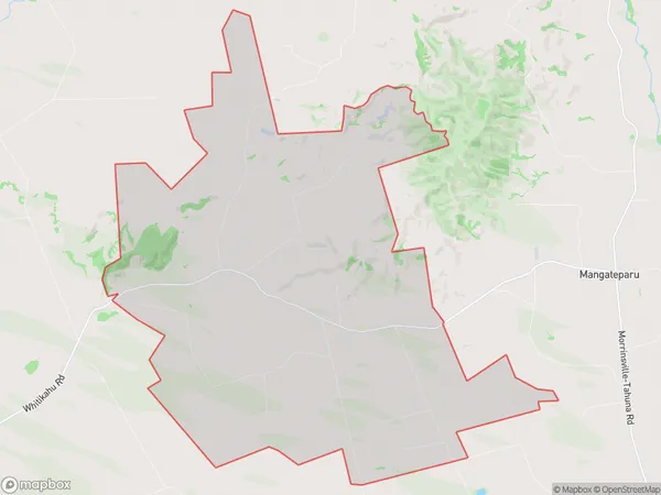 Tauhei, Waikato Polygon Area Map