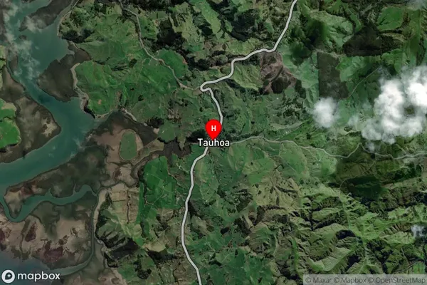 Tauhoa,Auckland Satellite Map