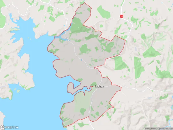 Tauhoa, Auckland Polygon Area Map