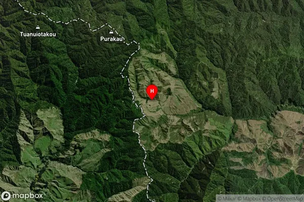 Taunoka,Manawatu-Wanganui Satellite Map