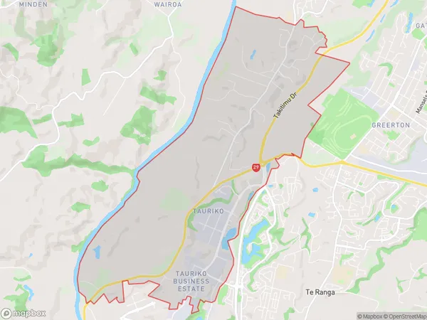 Tauriko, Bay of Plenty Polygon Area Map