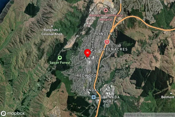 Tawa,Wellington Satellite Map