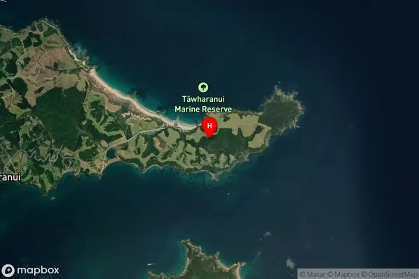 Tawharanui Peninsula,Auckland Satellite Map